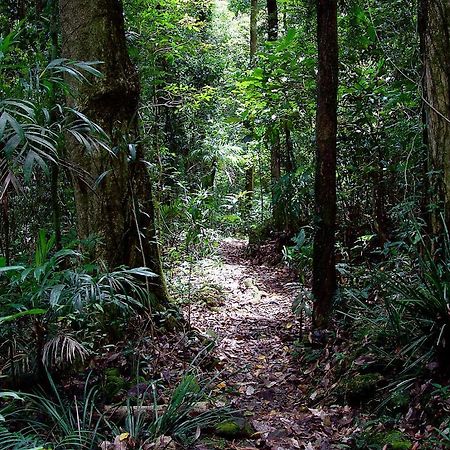 Springbrook Lyrebird Retreat Villa Eksteriør bilde