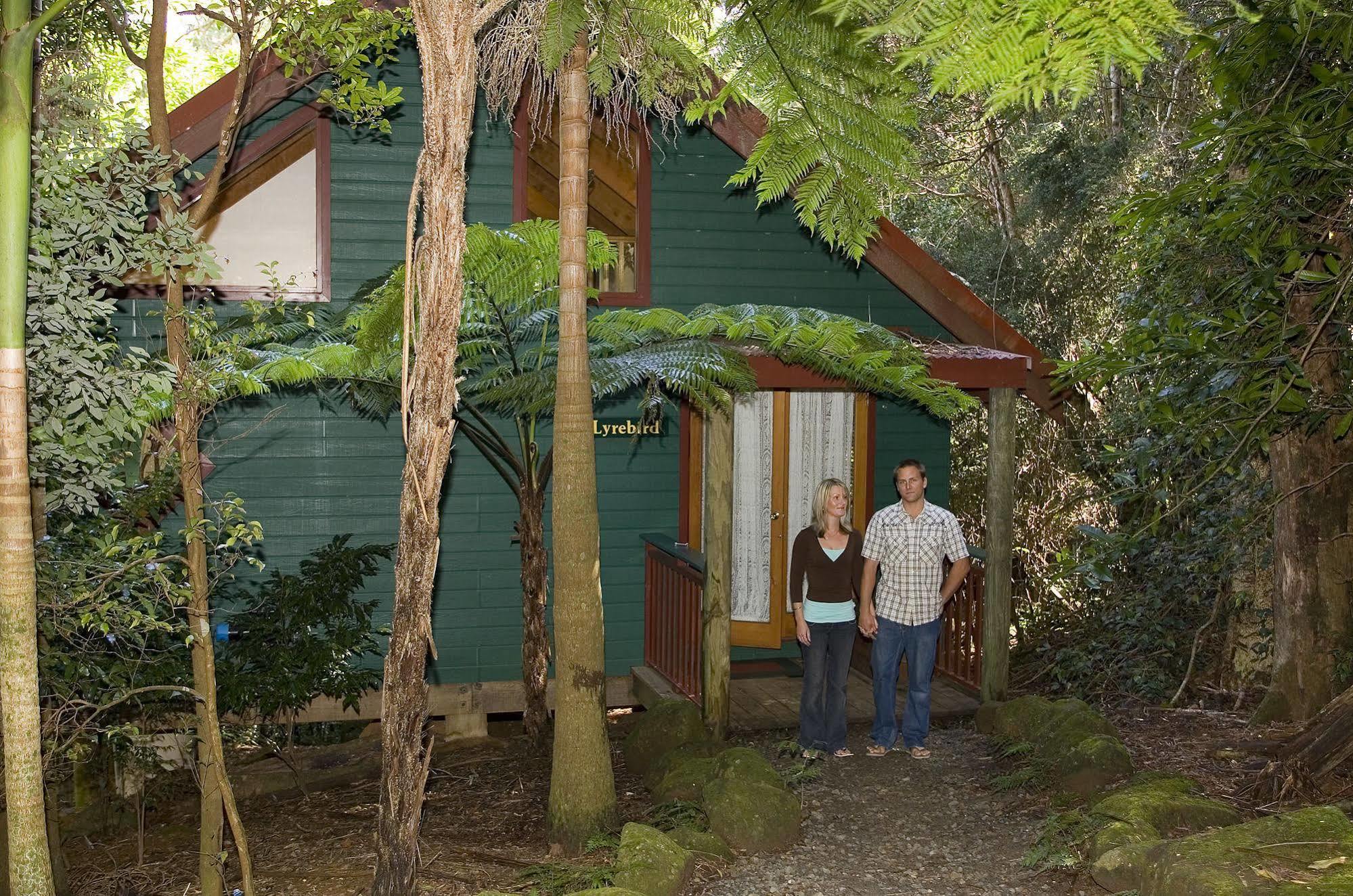 Springbrook Lyrebird Retreat Villa Eksteriør bilde