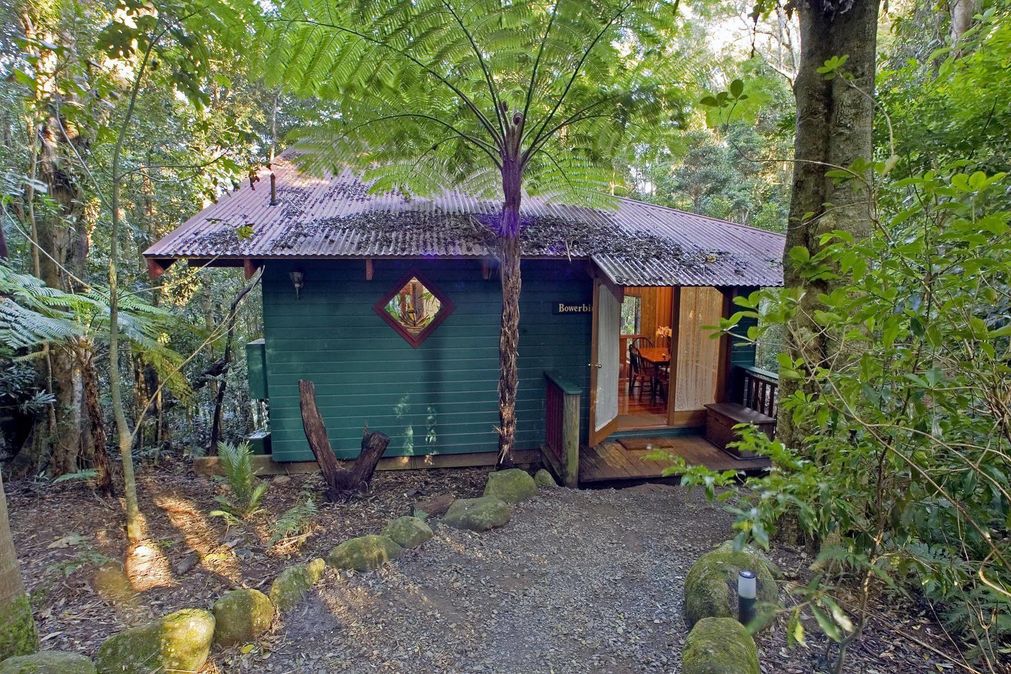 Springbrook Lyrebird Retreat Villa Eksteriør bilde