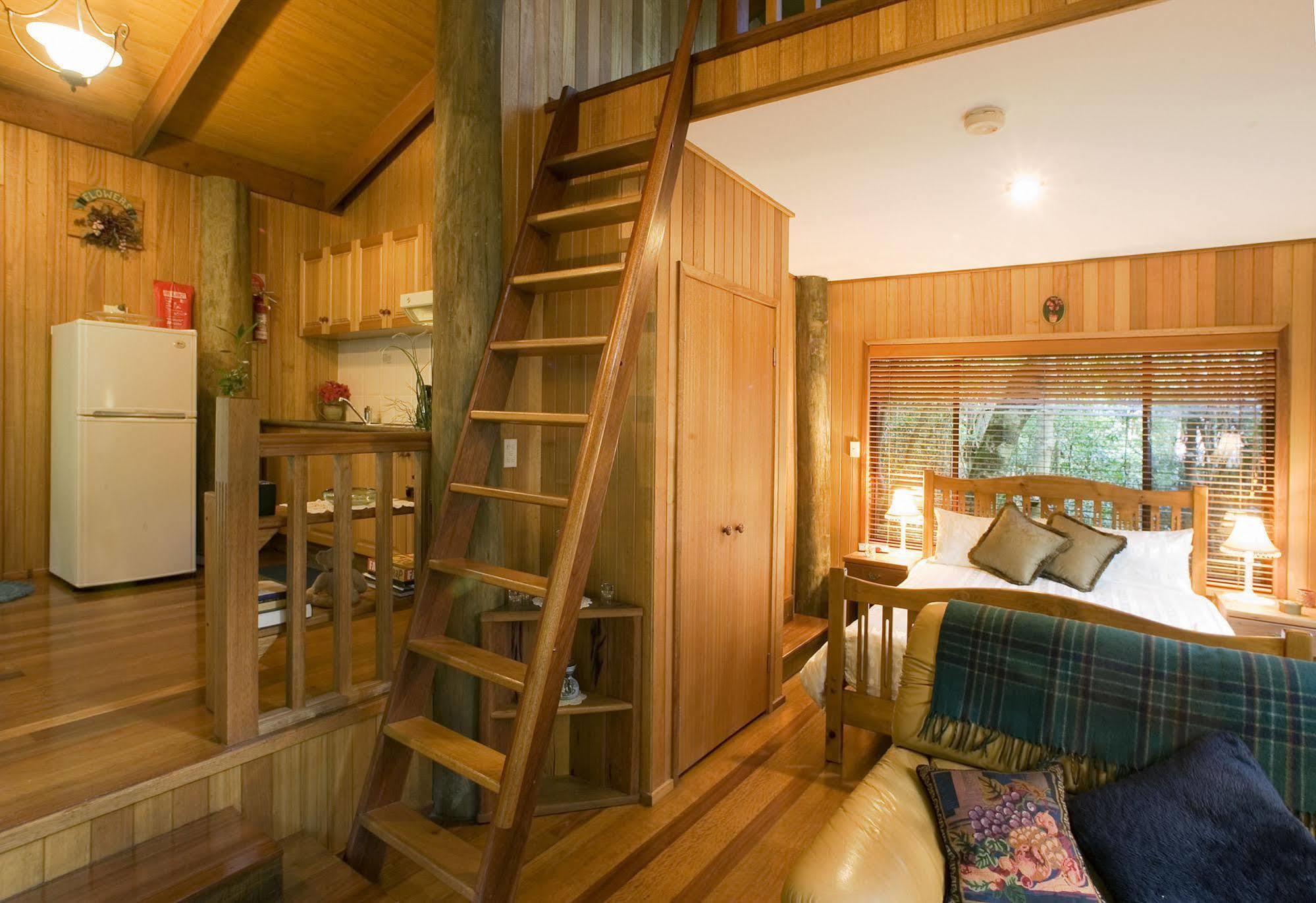 Springbrook Lyrebird Retreat Villa Eksteriør bilde
