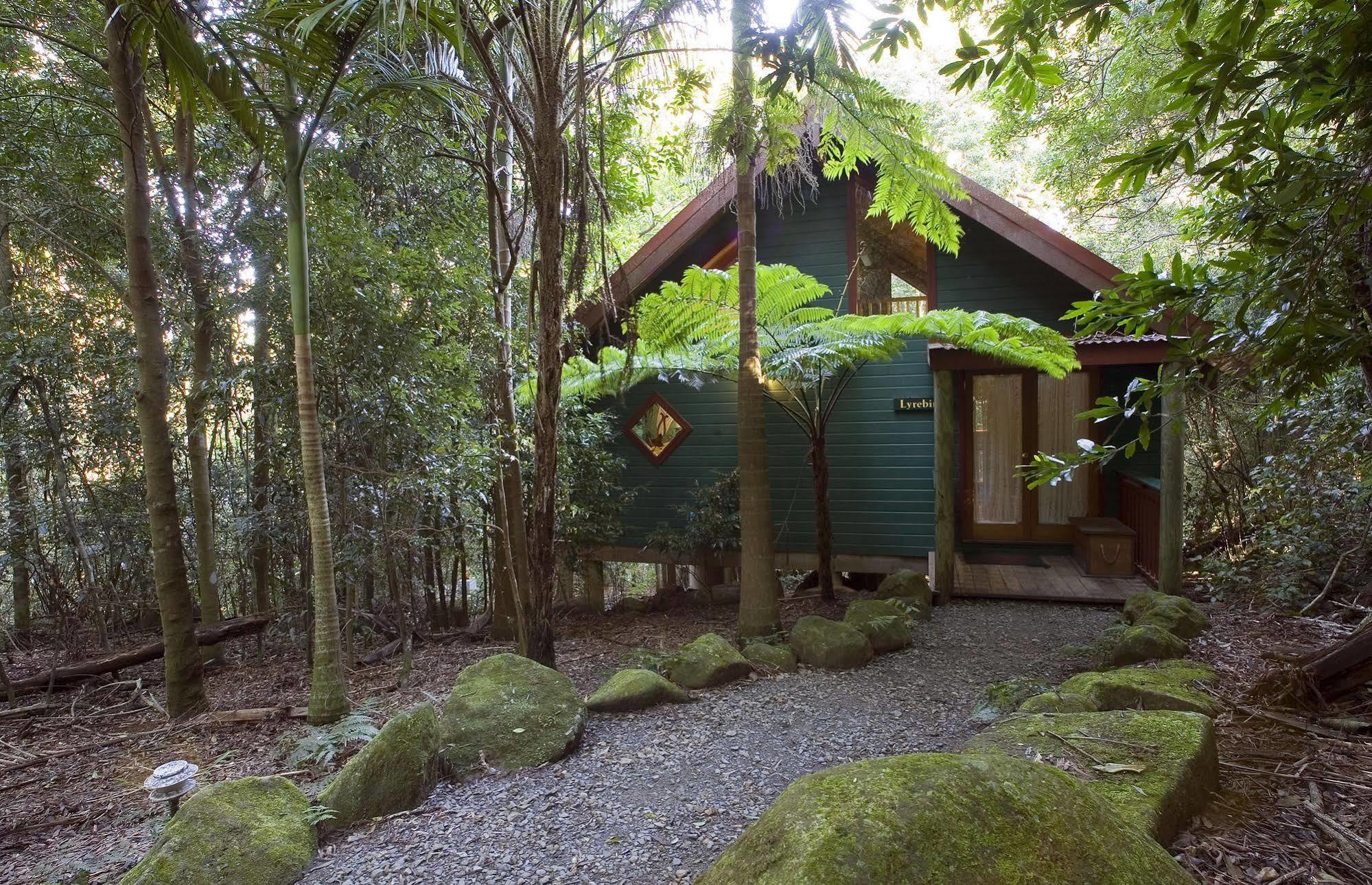 Springbrook Lyrebird Retreat Villa Eksteriør bilde