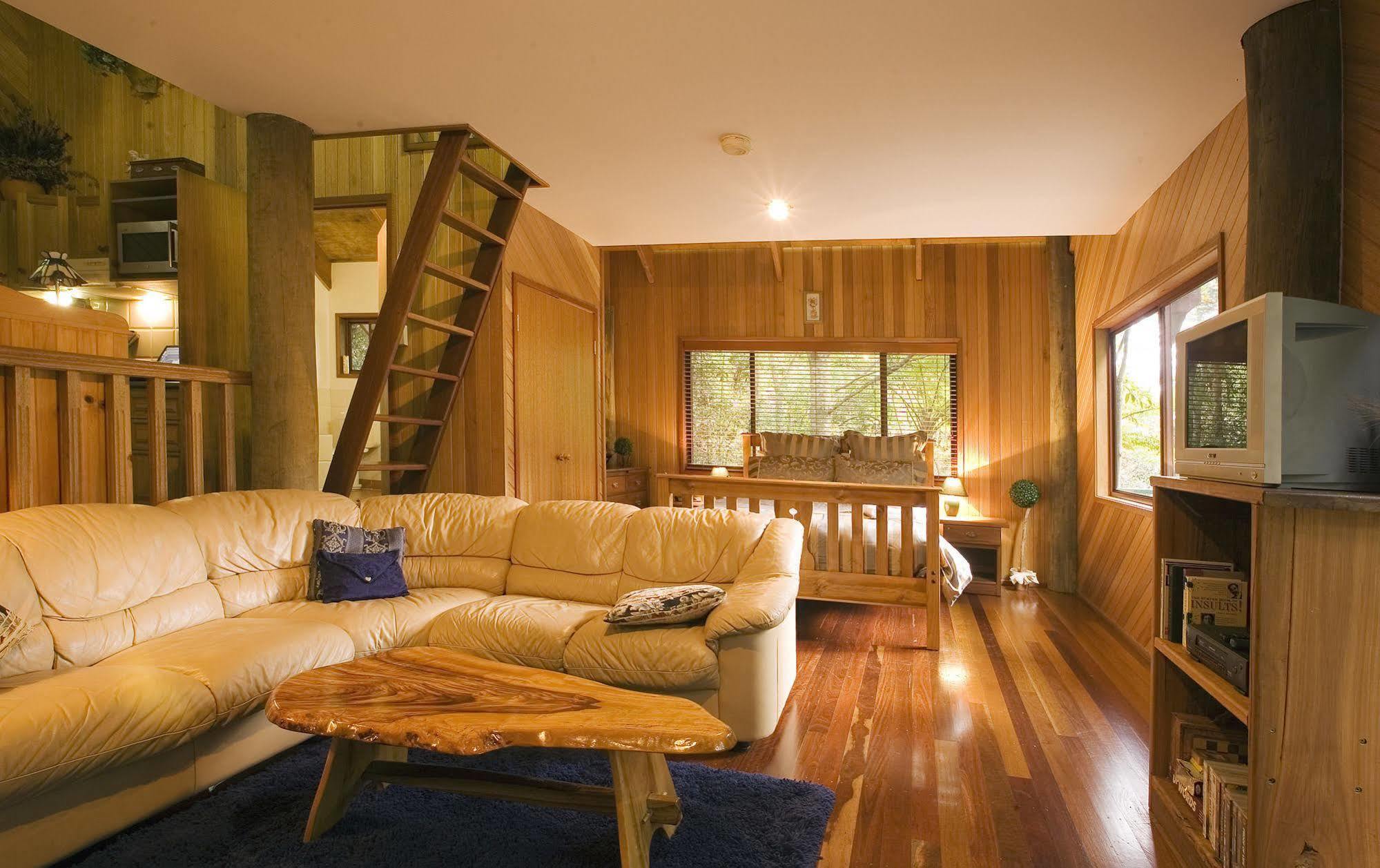 Springbrook Lyrebird Retreat Villa Eksteriør bilde