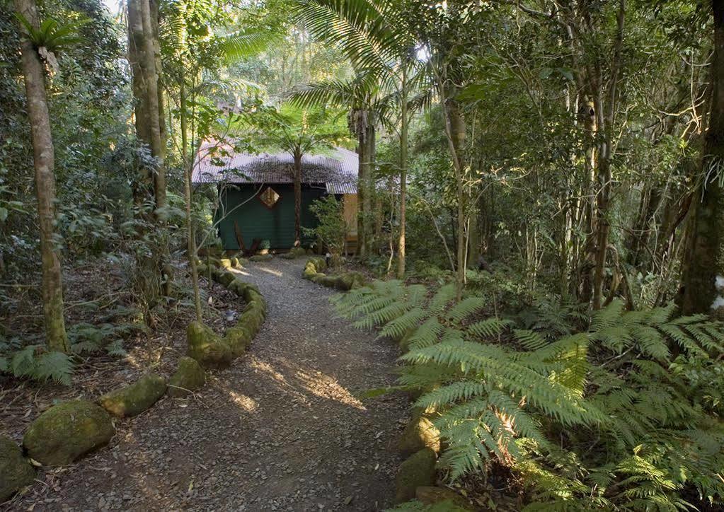 Springbrook Lyrebird Retreat Villa Eksteriør bilde