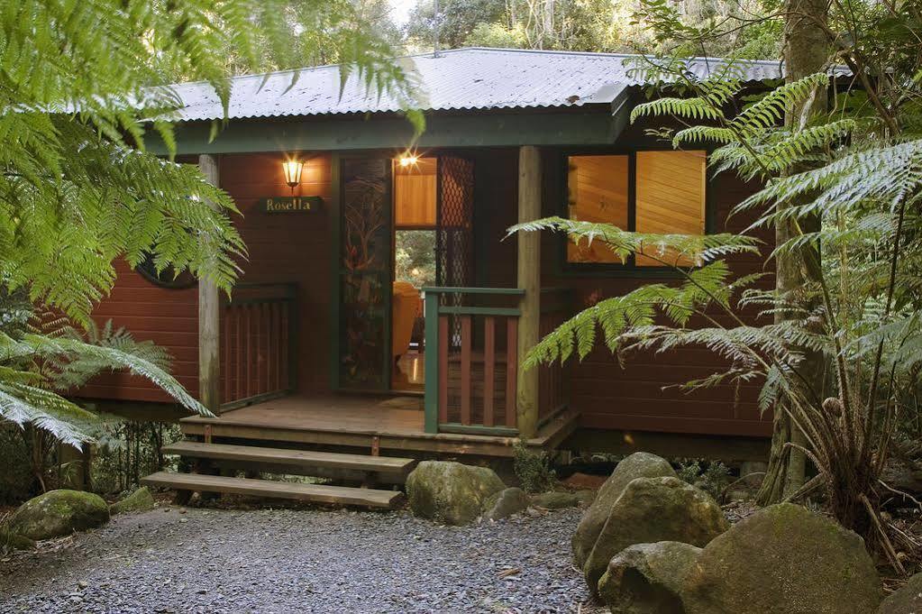 Springbrook Lyrebird Retreat Villa Eksteriør bilde